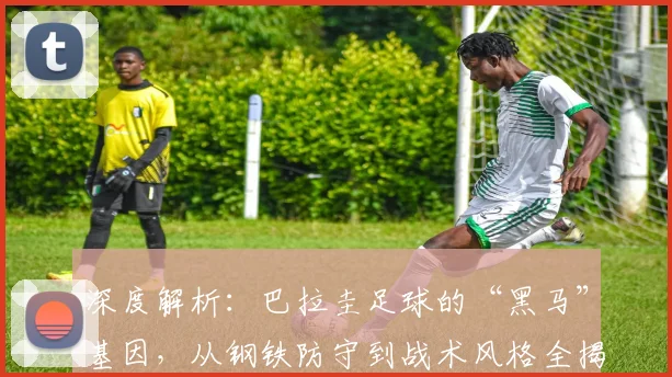 深度解析：巴拉圭足球的“黑马”基因，从钢铁防守到战术风格全揭秘